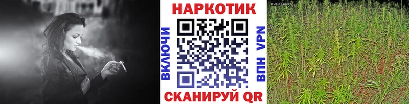 Наркошоп купить АМФЕТАМИН  Галлюциногенные грибы  ГАШИШ  Марихуана  Меф  Cocaine  Alpha PVP  Москва